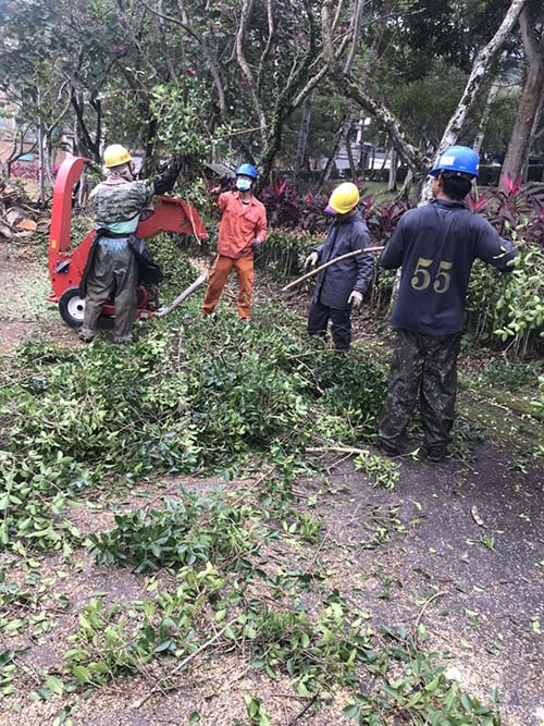 內湖體育園區,鋸樹及碎木樹枝葉