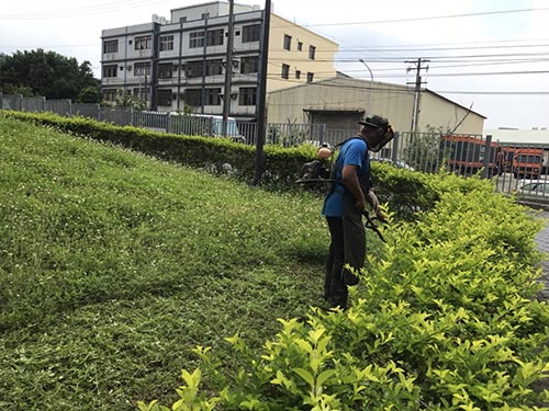 蘆竹區台泥研究室園區樹木修剪及割草