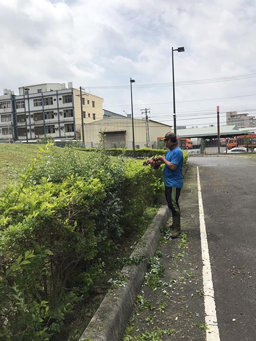 蘆竹區台泥研究室園區樹木修剪及割草