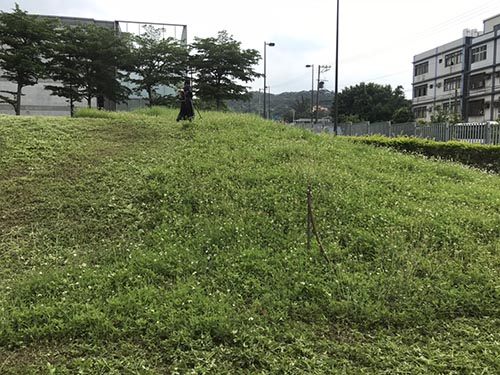 蘆竹區台泥研究室園區樹木修剪及割草