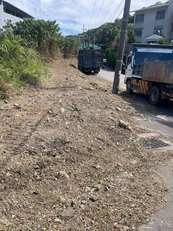 桃園區鋸樹環境整理