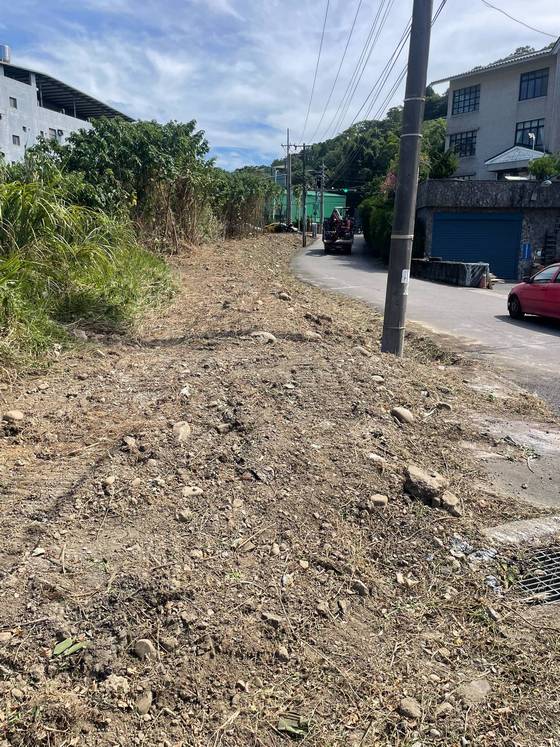 桃園區鋸樹環境整理