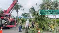 楊梅區喬木修剪環境整理