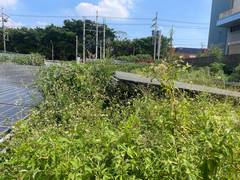 楊梅區廠房內割草環境整理