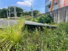 楊梅區廠房內割草環境整理