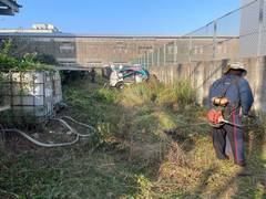 楊梅區廠房內割草環境整理