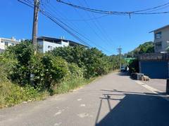 桃園整地環境整理