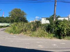 桃園整地環境整理