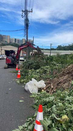桃園整地環境整理
