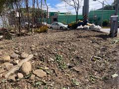 桃園整地環境整理