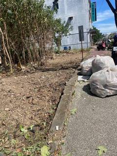 桃園整地環境整理