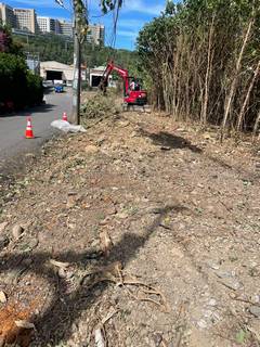 桃園整地環境整理