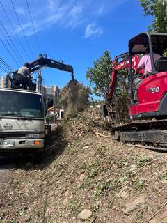 桃園整地環境整理