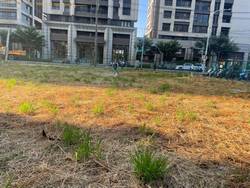 八德割草-噴除草劑