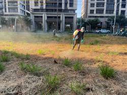 八德割草-噴除草劑