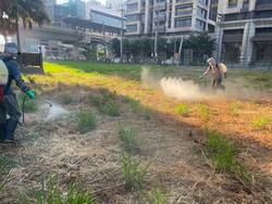 八德割草-噴除草劑