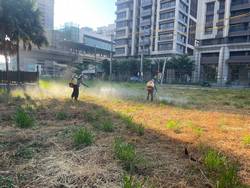 八德割草-噴除草劑