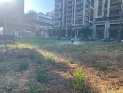 八德割草-噴除草劑