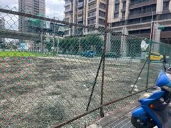 八德割草-噴除草劑