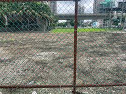 八德割草-噴除草劑