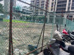 八德割草-噴除草劑