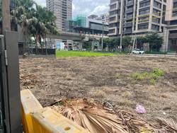 八德割草-噴除草劑