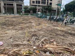 八德割草-噴除草劑