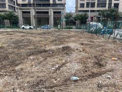 八德割草-噴除草劑