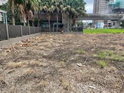 八德割草-噴除草劑