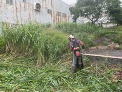 平鎮區墓園除草環境整理
