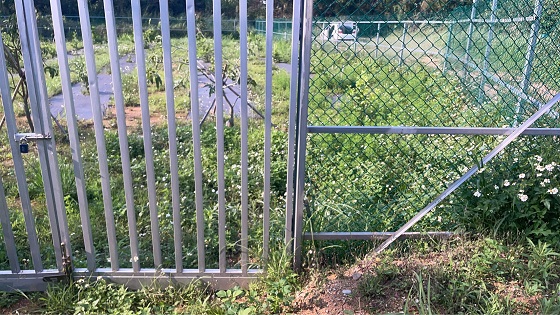 桃園中壢割草