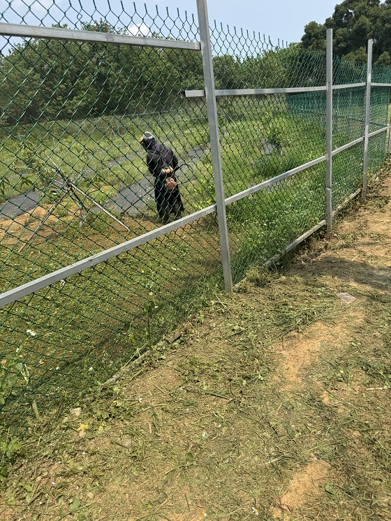 桃園中壢割草