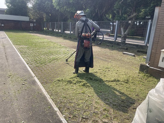 桃園中壢割草