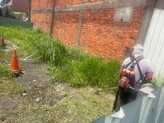 桃園平鎮割草
