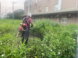 桃園大園割草