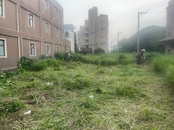 桃園大園割草