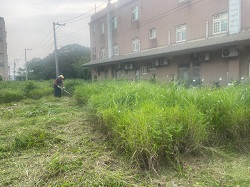 桃園大園割草
