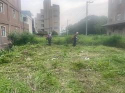 桃園大園割草
