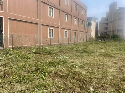桃園大園割草