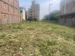 桃園大園割草