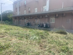 桃園大園割草