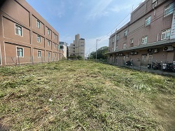 桃園大園割草