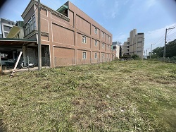 桃園大園割草