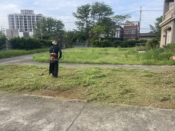 桃園中壢割草