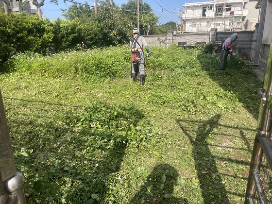 桃園中壢割草