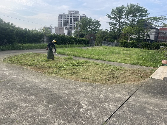 桃園中壢割草