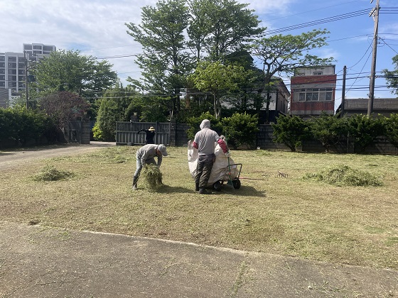 桃園中壢割草