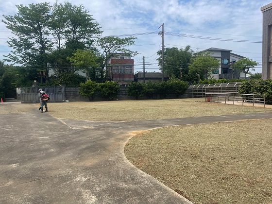 桃園中壢割草