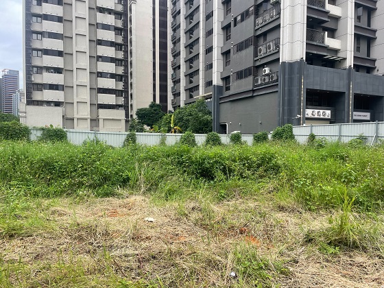 桃園割草