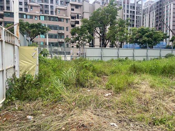 桃園割草